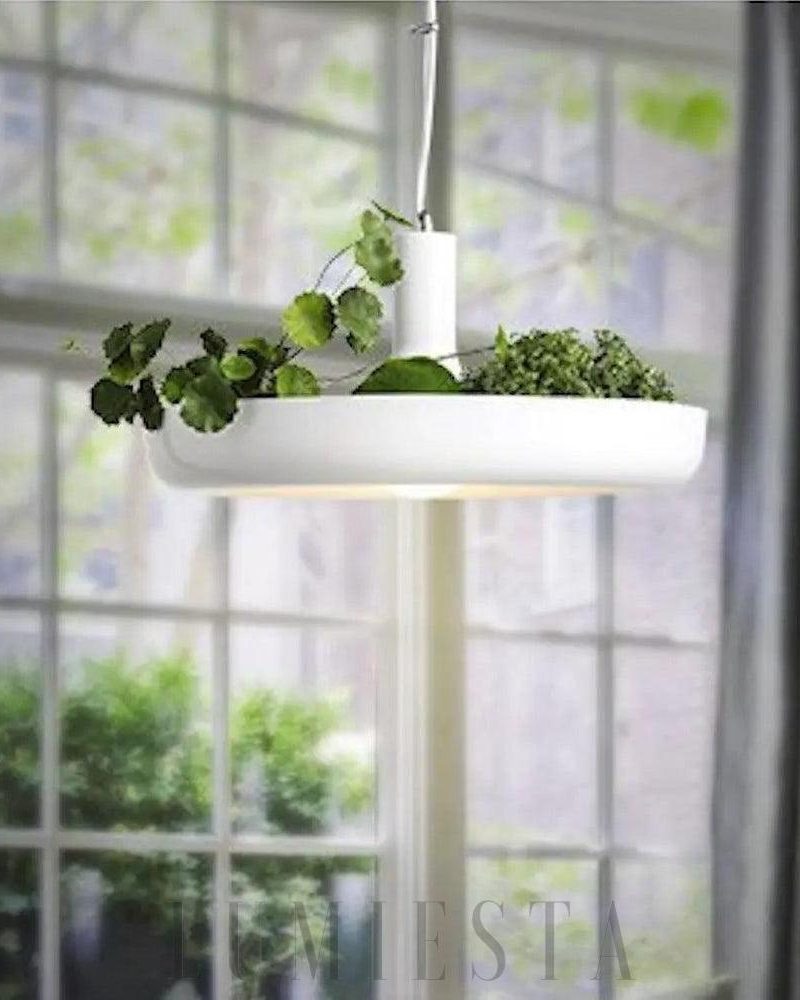 Nowoczesna lampa wisząca z doniczką na rośliny