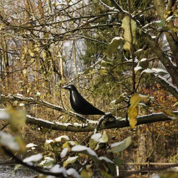 Lampa dekoracyjna Eames House Bird czarna z żywicy