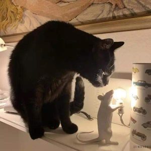 Lampka biurkowa myszka w stylu nowoczesnym z delikatnym światłem